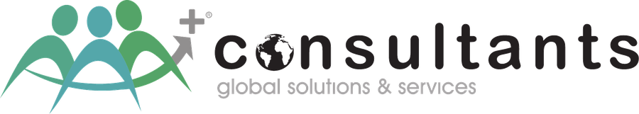 AAA+ Consulting